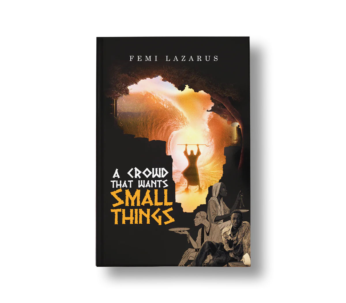 A Crowd That Wants Small Things book cover