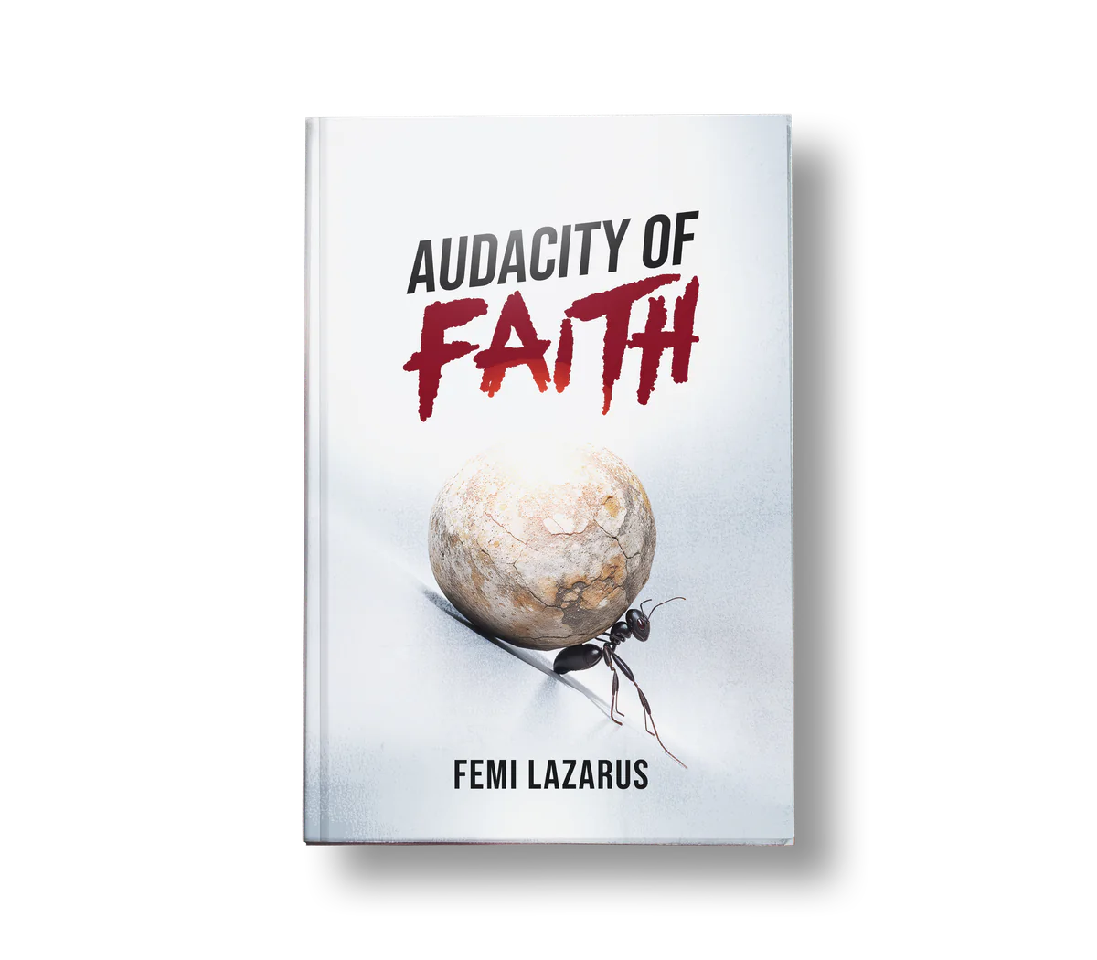 Audacity Of Faith book cover