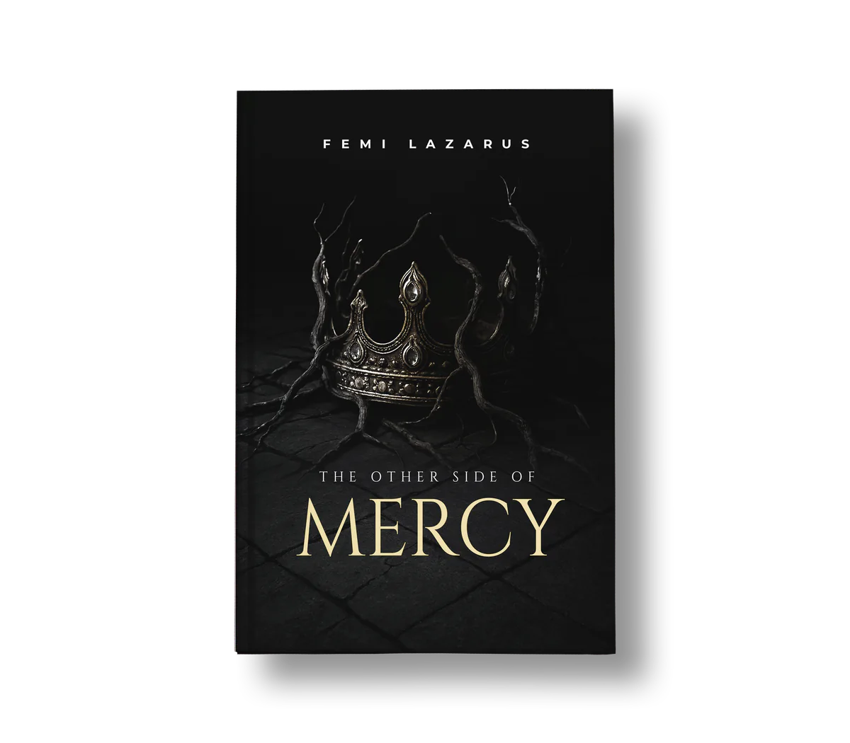 The Other Side Of Mercy book cover