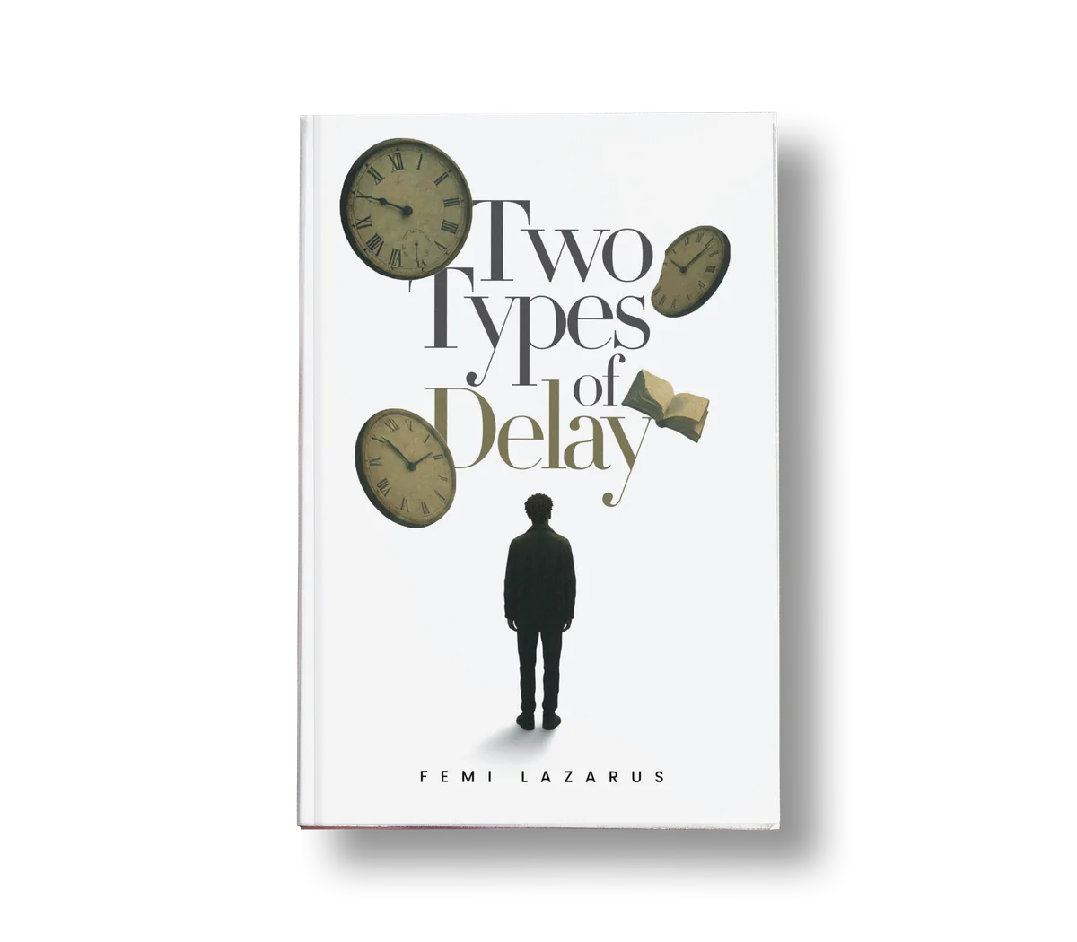 Two Types Of Delay book cover